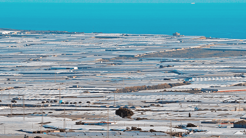 Figura 1. Invernaderos en la zona de El Ejido, Almería.