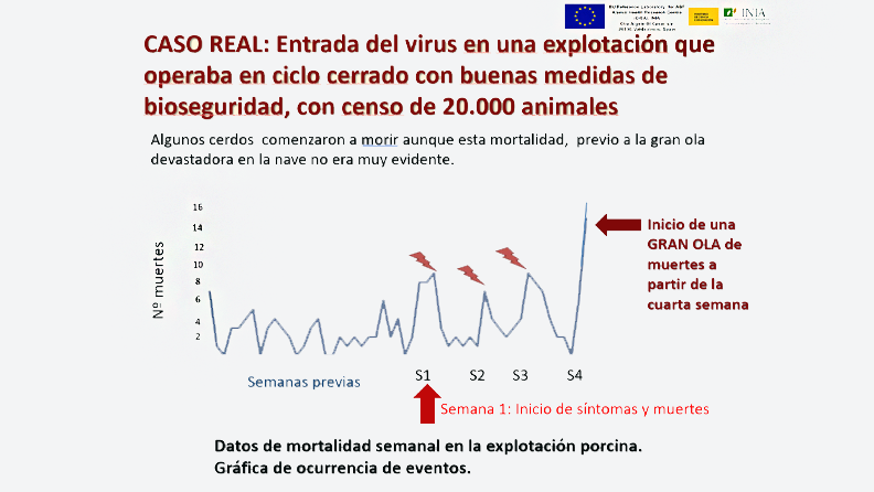 Figura 1. Gráfica representando la entrada del virus en una explotación porcina en el Este de la UE, que operaba en ciclo cerrado con buenas medidas de bioseguridad, con censo de 20.000 animales. 