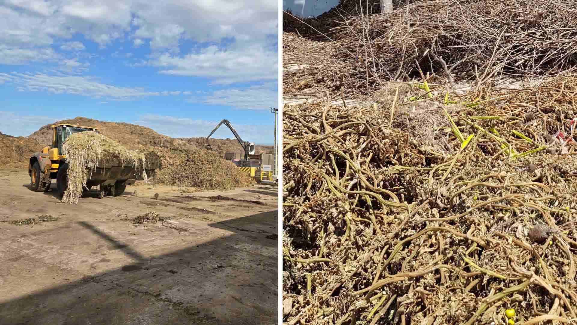  Figura 1.- Imagen de restos vegetales y el proceso industrial de compostaje.