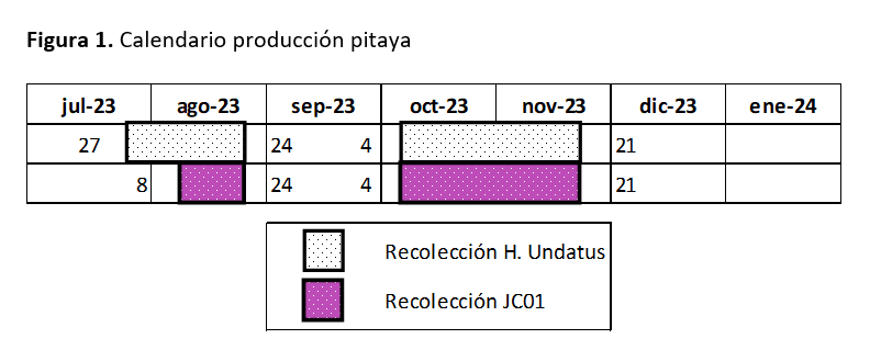 Figura 1. Calendario producción pitaya