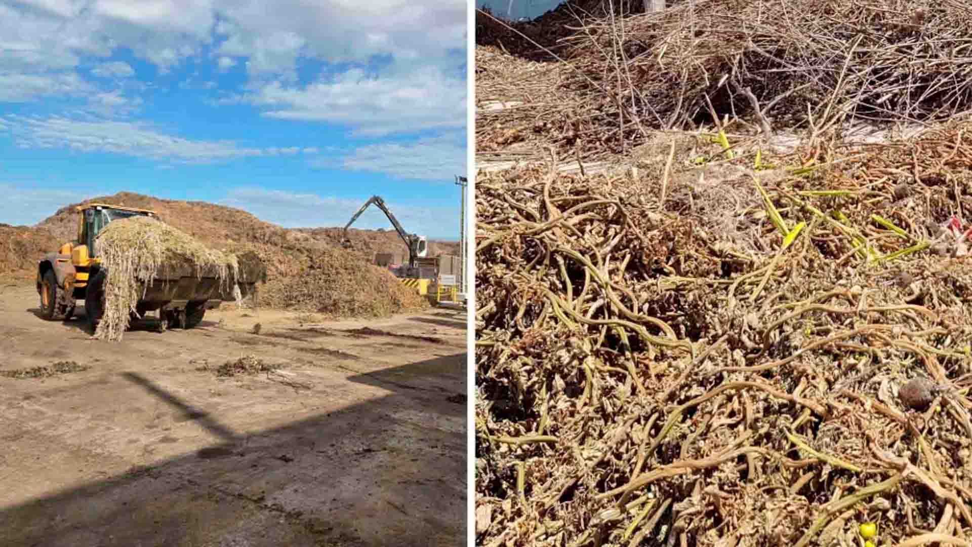  Figura 1.- Imagen de restos vegetales y el proceso industrial de compostaje.