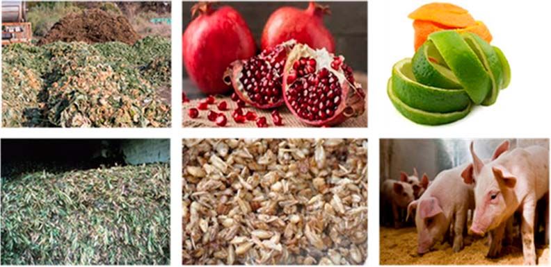 Figura 2. Valorización de los subproductos agrícolas, ganaderos e industrias agroalimentarias para producir fertilizantes orgánicos, bioplásticos y otros bioproductos.