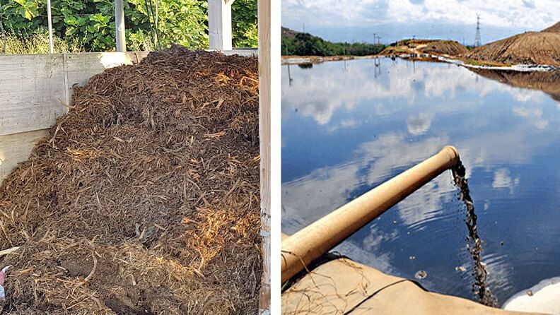 Figura 3. Imagen de una pila de compost, así como los lixiviados que se producen durante su gestión, los cuales no tienen actualmente un proceso de aprovechamiento o gestión adecuado.