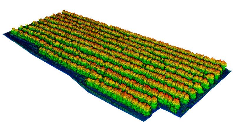 Figura 3. Modelo 3D de una plantación de manzanos obtenido con tecnología LiDAR. La escala de color muestra la altura de la copa. Fuente: GRAP.