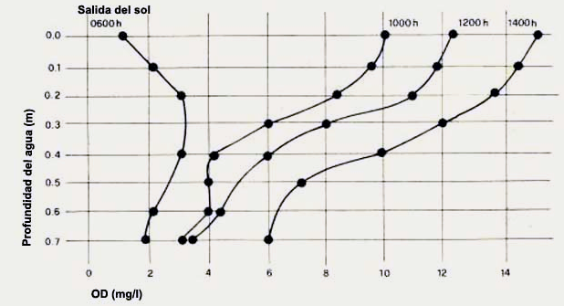 Figura 3. Solubilidad de oxígeno en función de temperatura y profundidad.