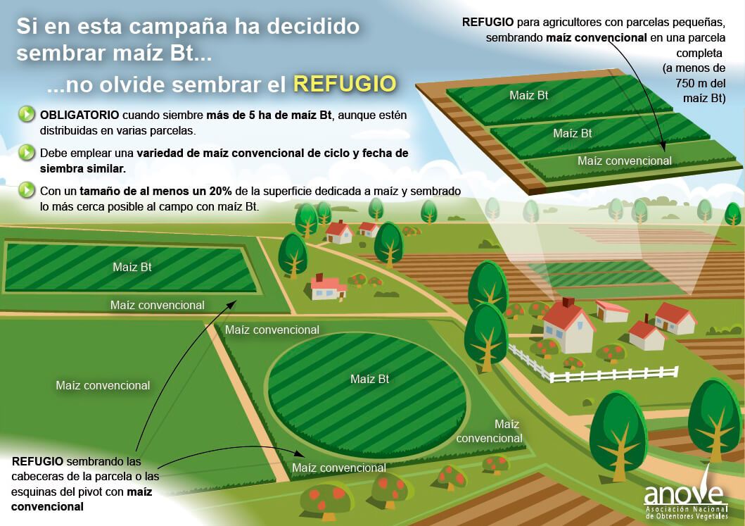 Figura 4.
