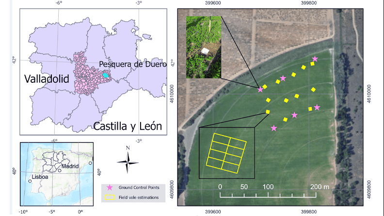 Figura 5. Mapa en el que se indica la zona de estudio, incluidas las cuadrículas en las que se realizaron las estimaciones sobre el terreno (en amarillo) y los puntos de control del terreno obtenidos con GPS (en rosa).