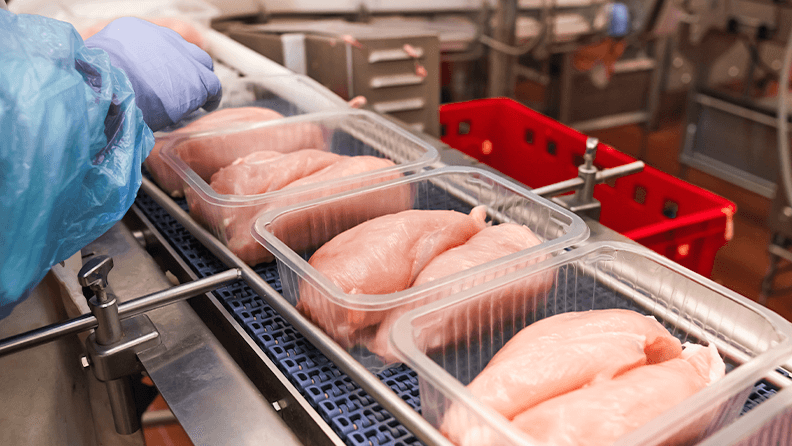 Procesado de filetes de pollo para el consumo en la industria cárnica.