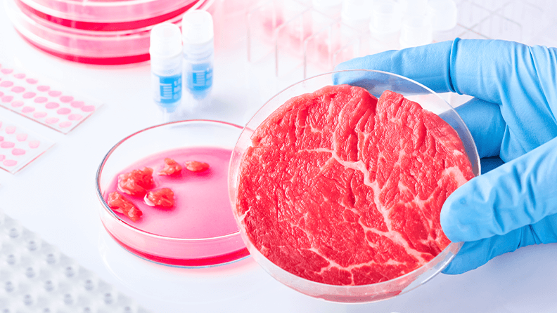 Conoce el proceso de asar carne - THE FOOD TECH - Medio de noticias líder  en la Industria de Alimentos y Bebidas