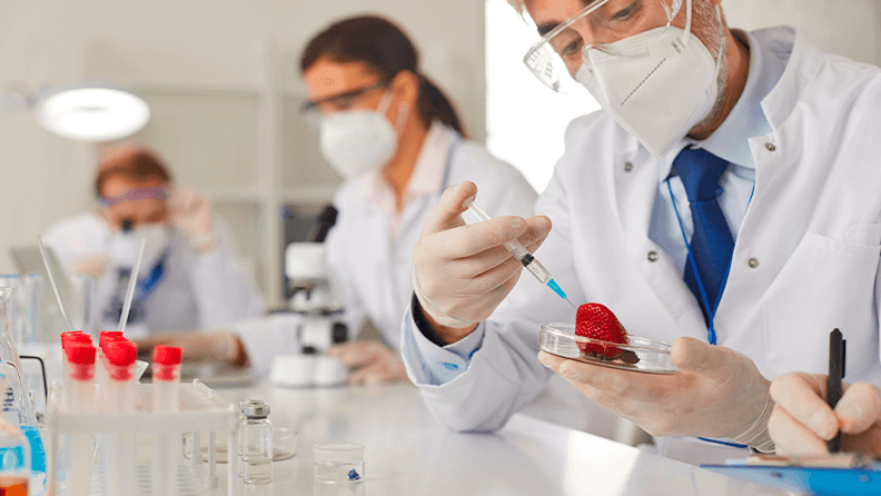 Grupo de investigadores trabajando en un laboratorio con fresas