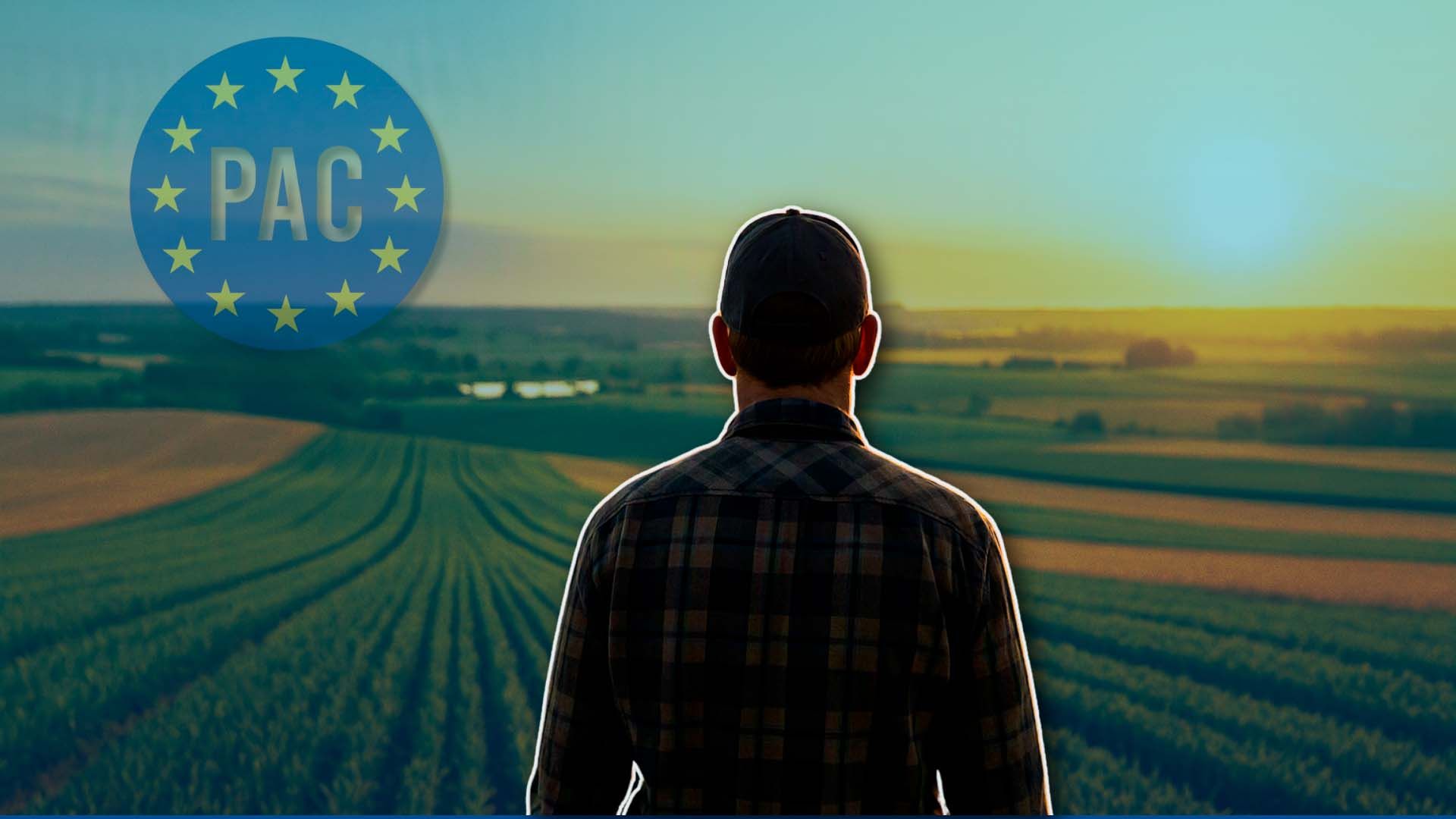 Un hombre de espaldas mirando un paisaje de campos de cultivo en un atardecer.