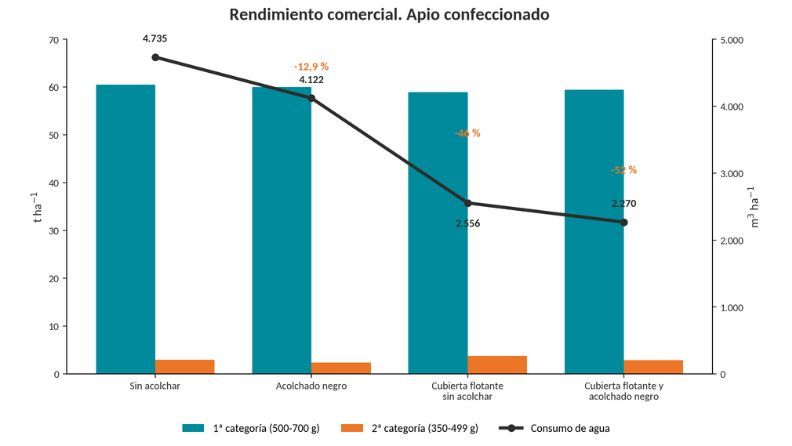 Gráfico: Rendimiento de apio y consumo de agua por métodos de cultivo, mostrando reducción del agua.