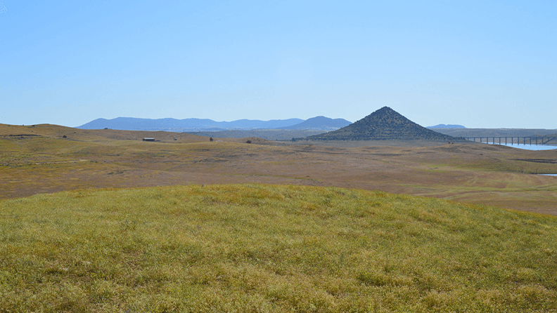 e han realizado ensayos agronómicos con 40 variedades antiguas en fincas colaboradoras