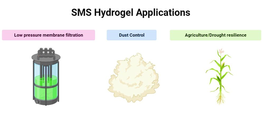 Figura 2. Posibles aplicaciones del Hidrogel SMS.
