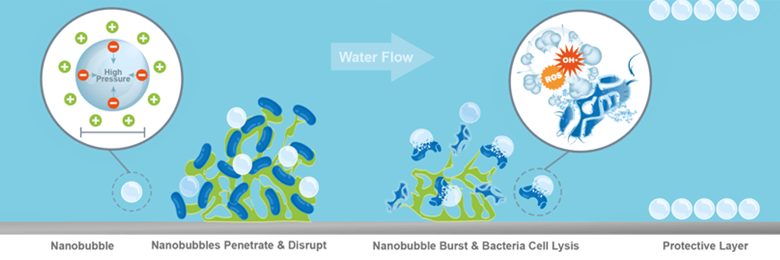Nanoburbujas y bacterias