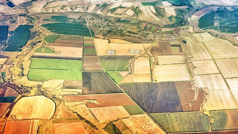 Campos de cultivo vistos por vía satélite