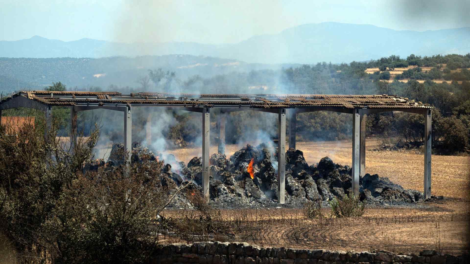 6.500 hectáreas quemadas, la mayor parte en la comarca leridana de la Segarra. EFE/Álex López
