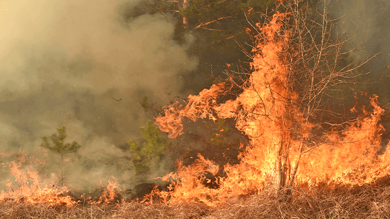 Incendio forestal en España