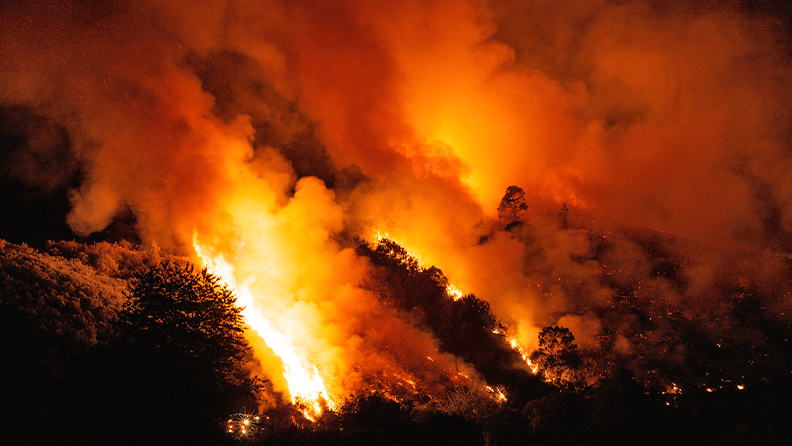 Ola de calor en España verano 2022. Incendio en Ourense, Galicia