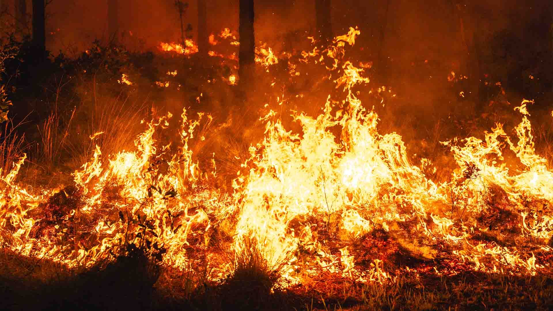 Imagen de archivo donde se muestra la virulencia de un incendio forestal.