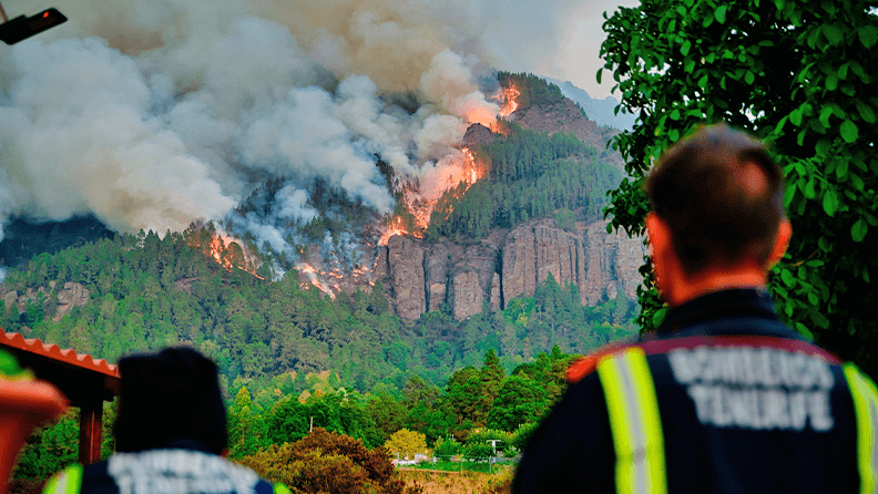Incendio forestal en Tenerife