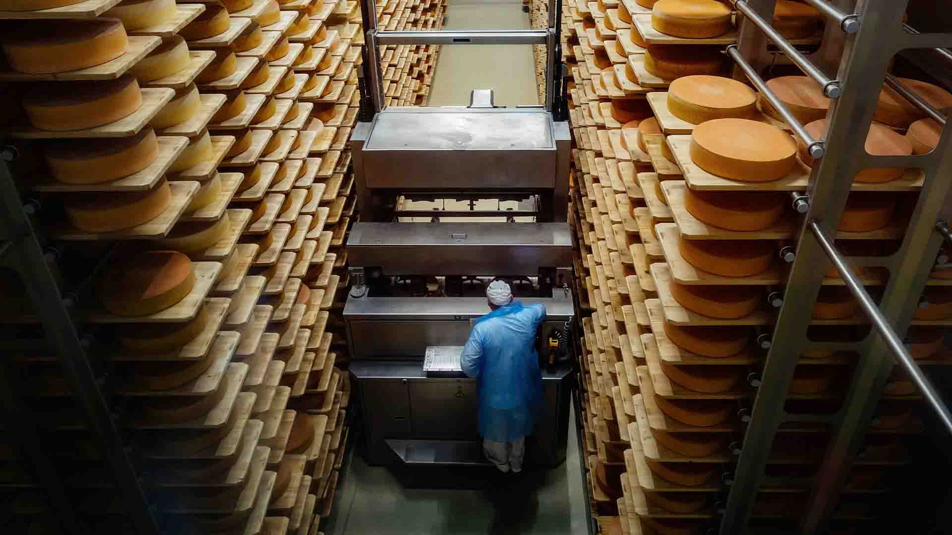 Máquina de carga trabajando en un almacén de quesos.