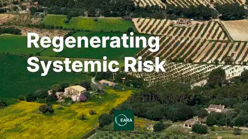 Informe: 'Regenerating Systemic Risk: Valencia Case Study'.