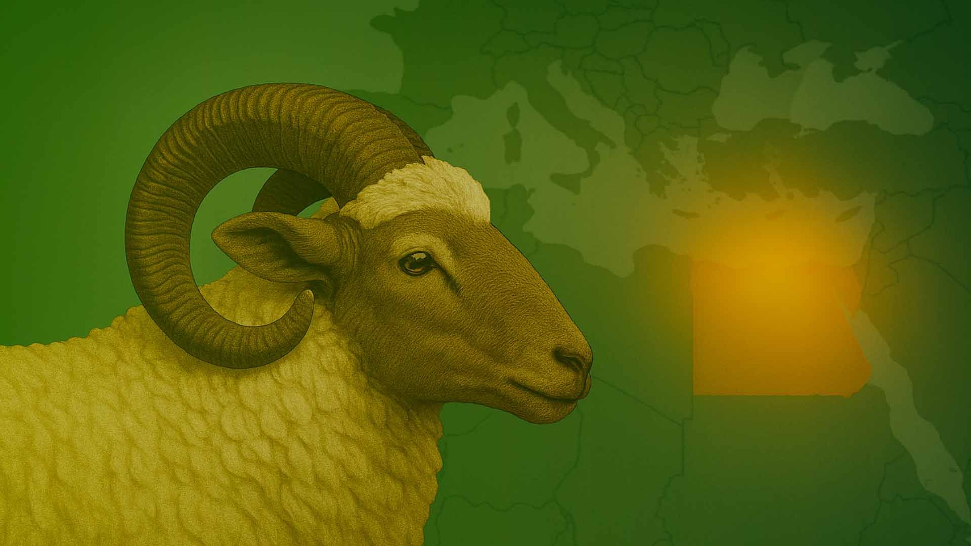 Carnero con cuernos grandes sobre un mapa verde y naranja.