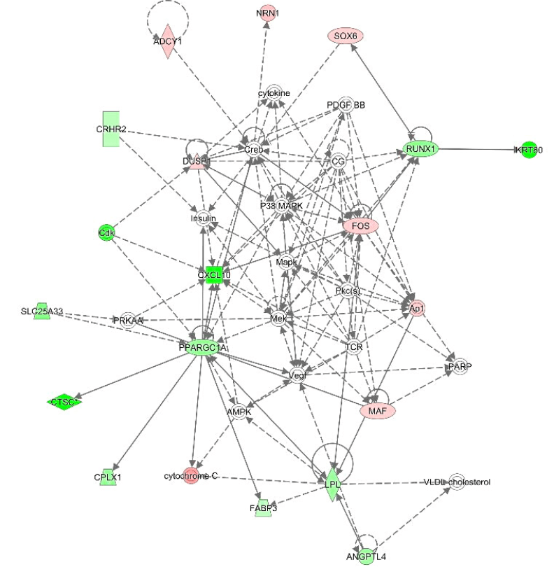 Interacción de genes diferencialmente expresados entre grupos de animales con carnes más tiernas y más duras (Fernández-Barroso et al., 2020b)