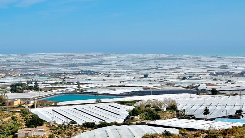 Invernaderos de la provincia de Almería.