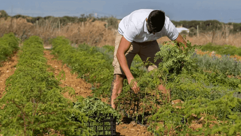 Un joven agricultor en Conil de la Frontera (Cádiz). Efeagro/Román Ríos.