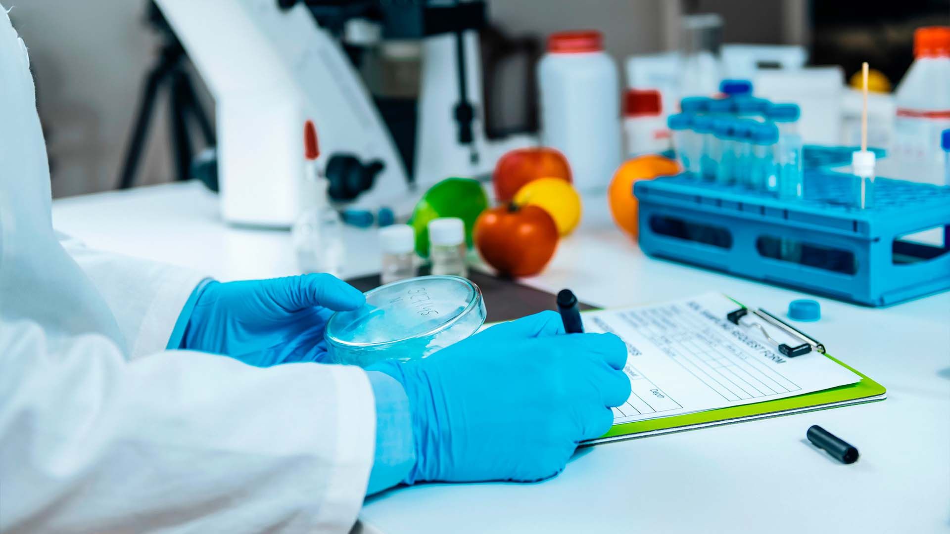 Laboratorio de Alimentación.