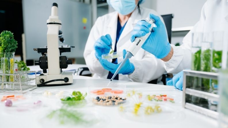 Investigadores en laboratorio analizando muestras de alimentos con microscopio y micropipeta para innovación agroalimentaria