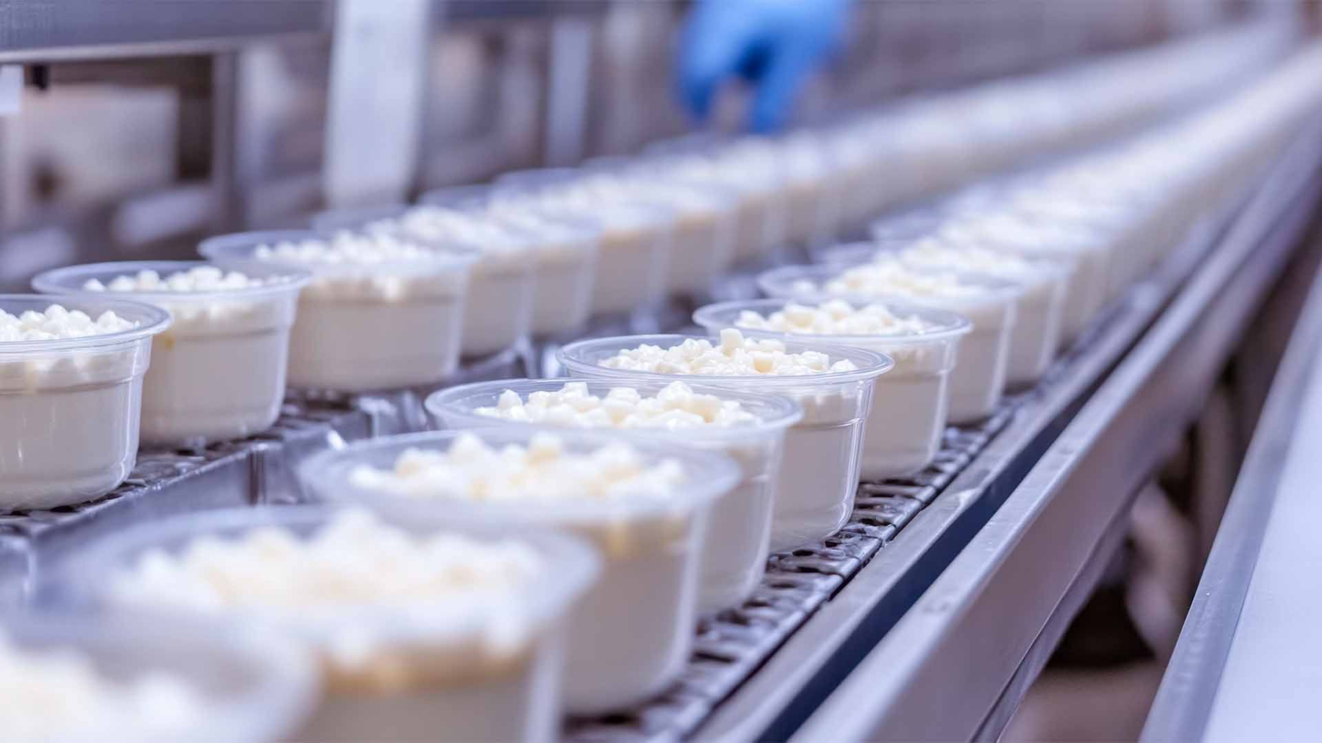 Filas de productos lácteos envasados.