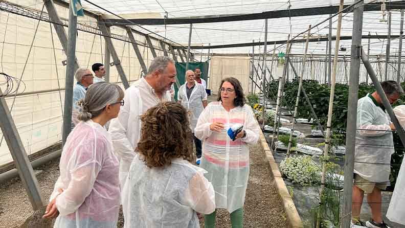Un grupo de personas con ropa de protección visitan un invernadero con plantas.