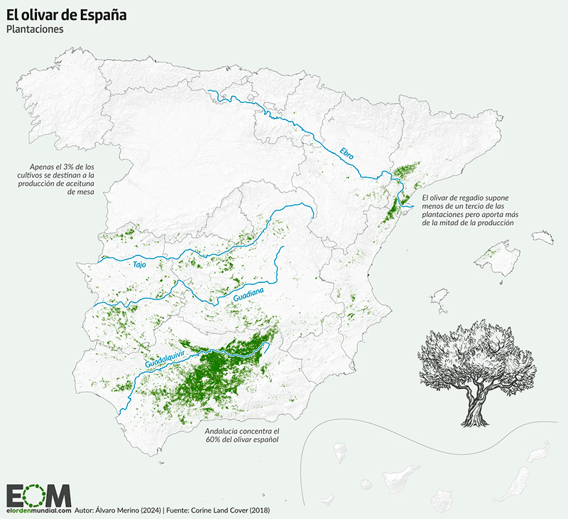 web-mapa-olivar-españa-EOM.png