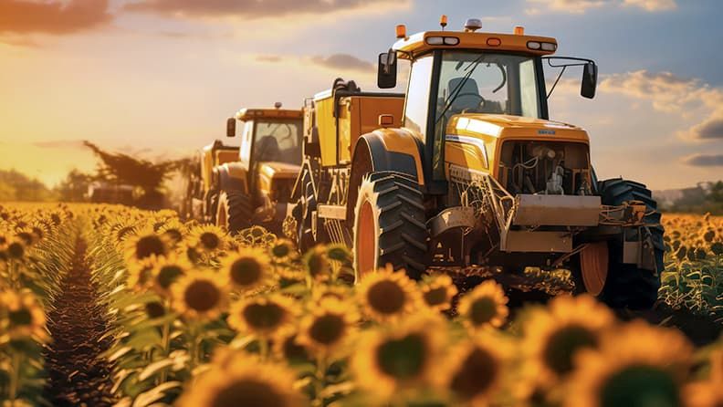 Un tractor en un campo de girasoles