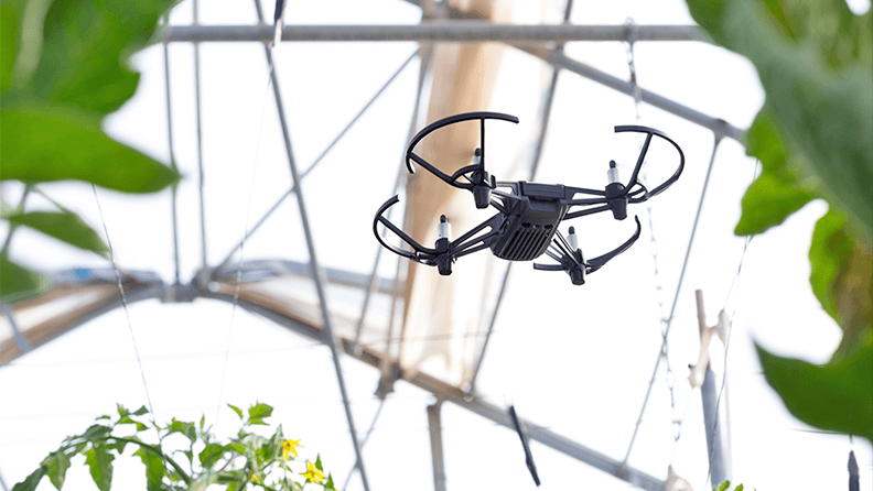 Un mini dron vuela en el interior de un invernadero