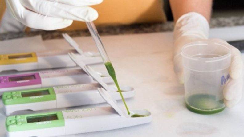 fertirriego    Muestra o análisis de solución del suelo/savia en laboratorio
