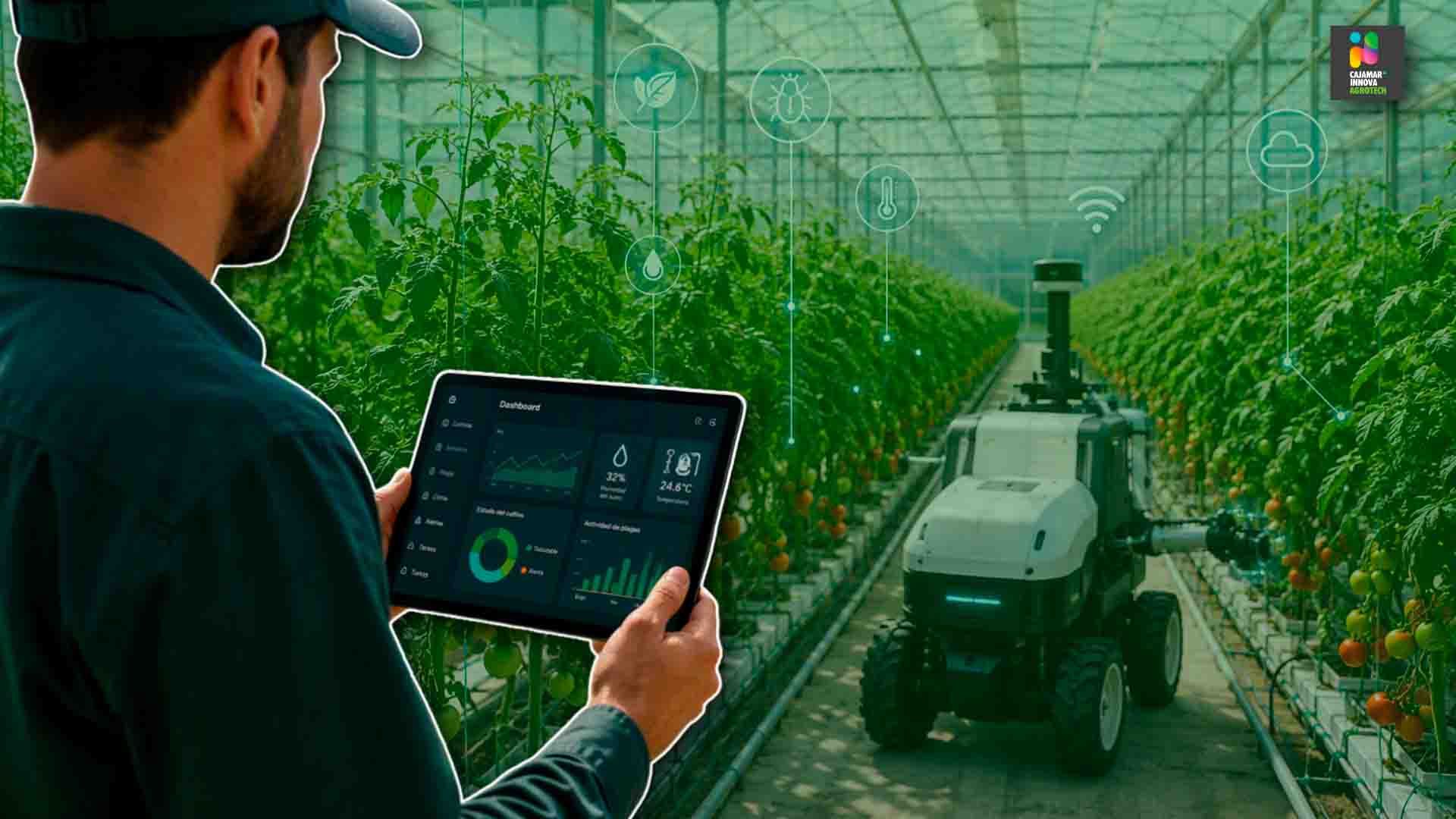 Una persona usando un dispositivo electrónico en un campo de cultivo.