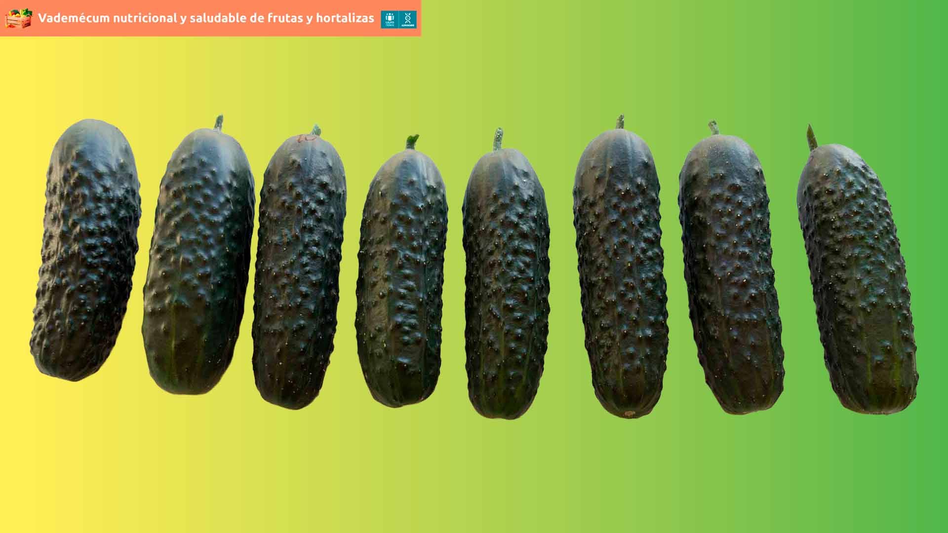 Vademecum nutricional y saludable de frutas y hortalizas: pepino.