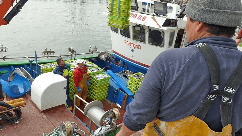 Imagen de archivo de varios operarios descargando en una embarcación gallega cajas con anchoa en el Puerto de Santoña (Cantabria). EFEAGRO/ Miguel Ramos