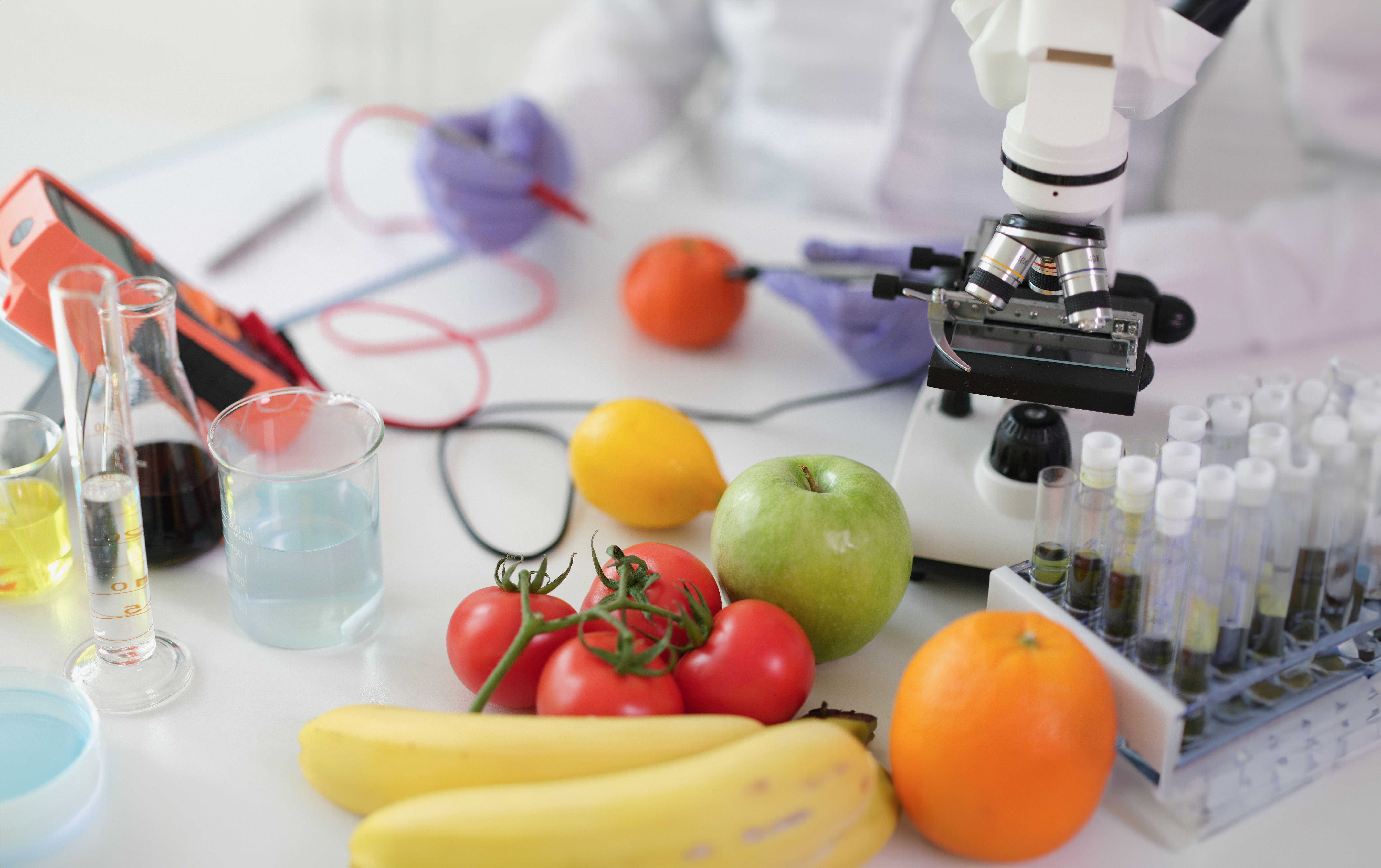 Laboratorio de análisis de alimentos Laboratorio de análisis de alimentos
