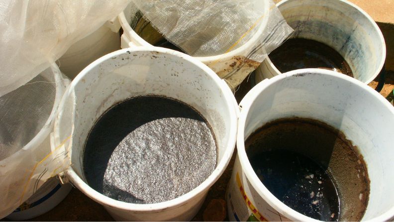 Cubos con pigmento de índigo tras el proceso de extracción y oxidación