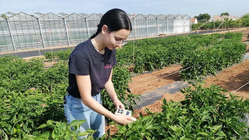 Mujer midiendo parámetros en un cultivo de plantas bajo invernadero.