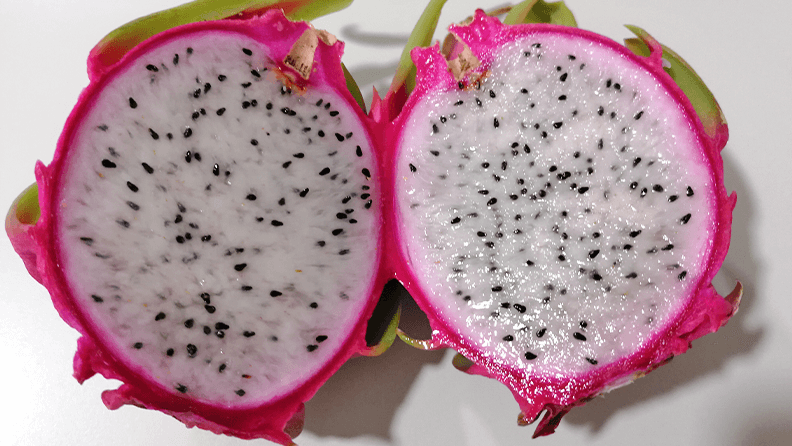 web-pitaya-Fruto H. undatus.png
