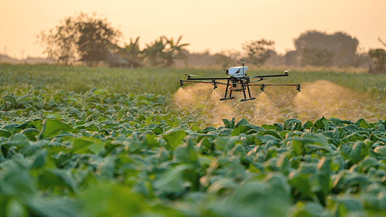 Aplicación de fitosanitarios en dron con inteligencia artificial
