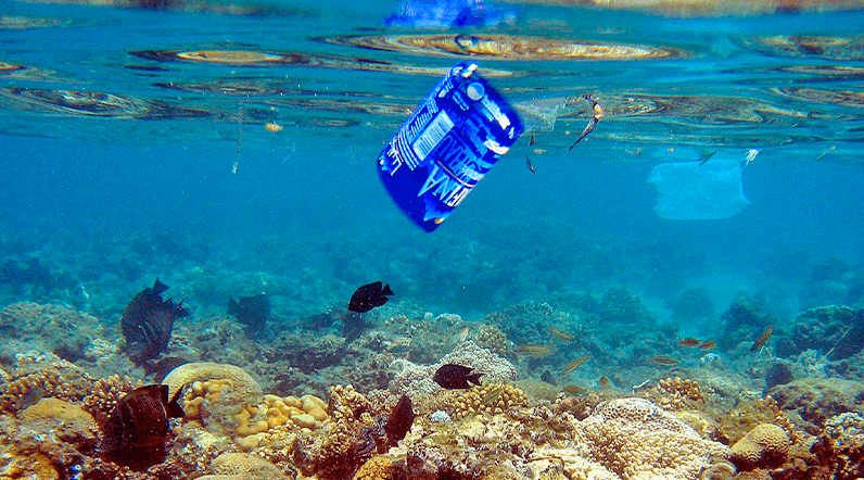 En la imagem de archivo, peces y bolsas de plástico comparten espacio en el arrecife de coral que rodea el complejo turístico "Naama Bay", en el mar Rojo, Egipto. EFE/Mike Nelson.
