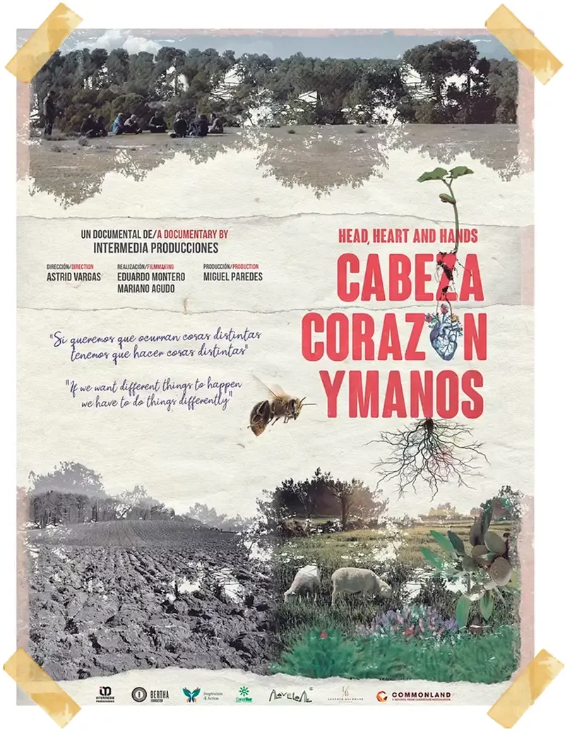 web-portada-documental-cabeza, corazón y manos.webp
