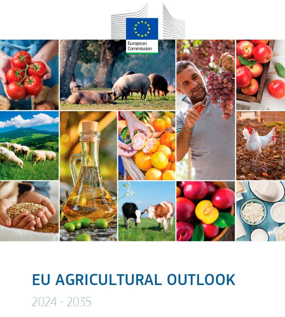 Informe de perspectivas a 20235 de la Comisión Europea.